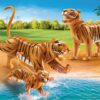 Playmobil 70359 Tigers with Cub